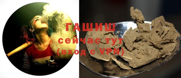 хмурый Аша