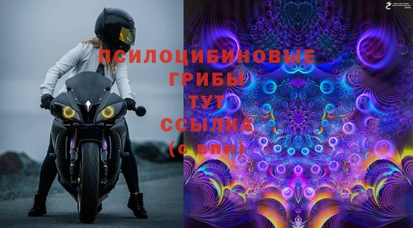 дмт Медвежьегорск