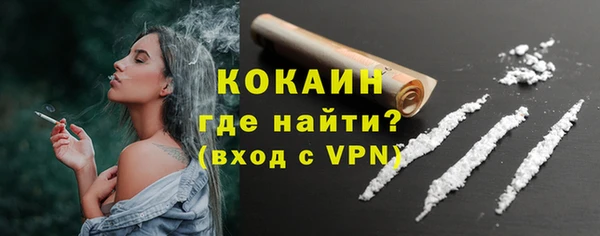 хмурый Аша