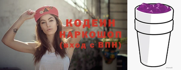 хмурый Аша