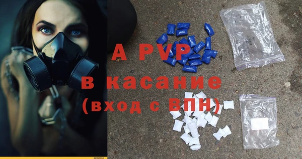 хмурый Аша