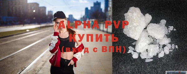 хмурый Аша