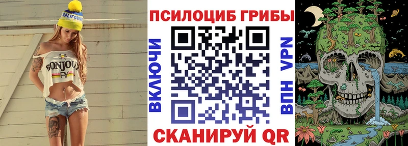 Псилоцибиновые грибы мицелий хочу Зуевка