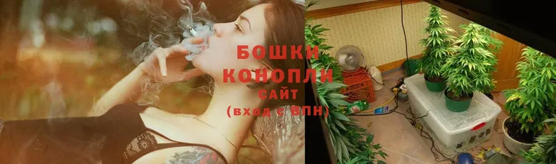 Шишки марихуана White Widow  Зуевка 